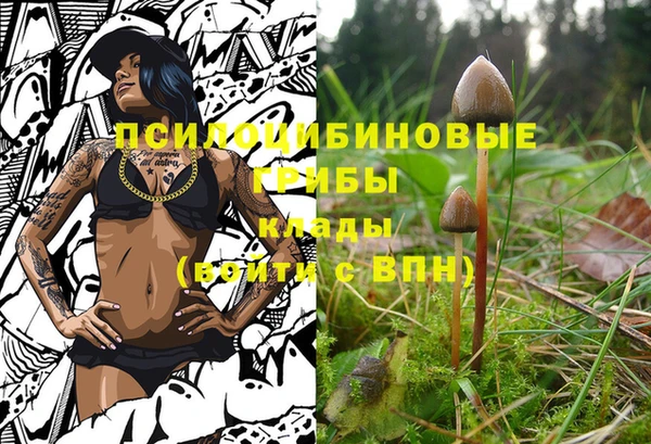 2c-b Бородино