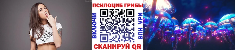 Псилоцибиновые грибы GOLDEN TEACHER  закладки  Горно-Алтайск 