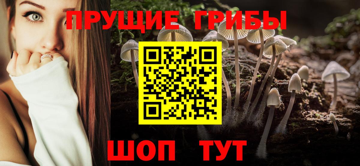 Горно-Алтайск  Галлюциногенные грибы MAGIC MUSHROOMS  Вход с VPN 