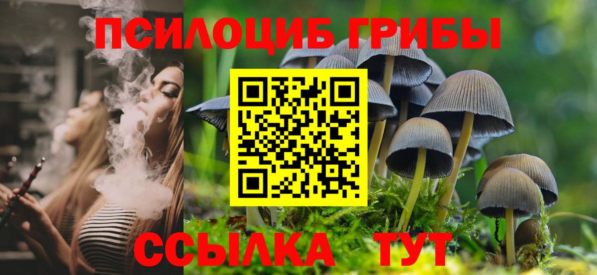 Галлюциногенные грибы MAGIC MUSHROOMS Горно-Алтайск